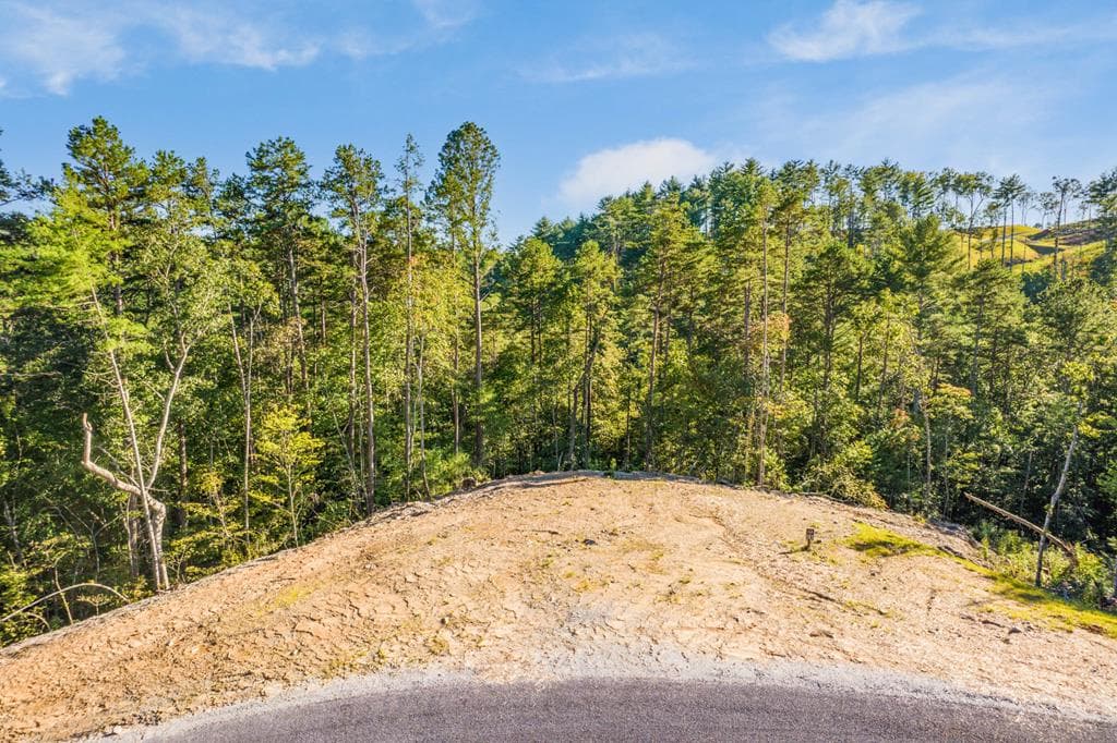 LOT 183 Canoe Point, Ellijay GA 30540 - Photo