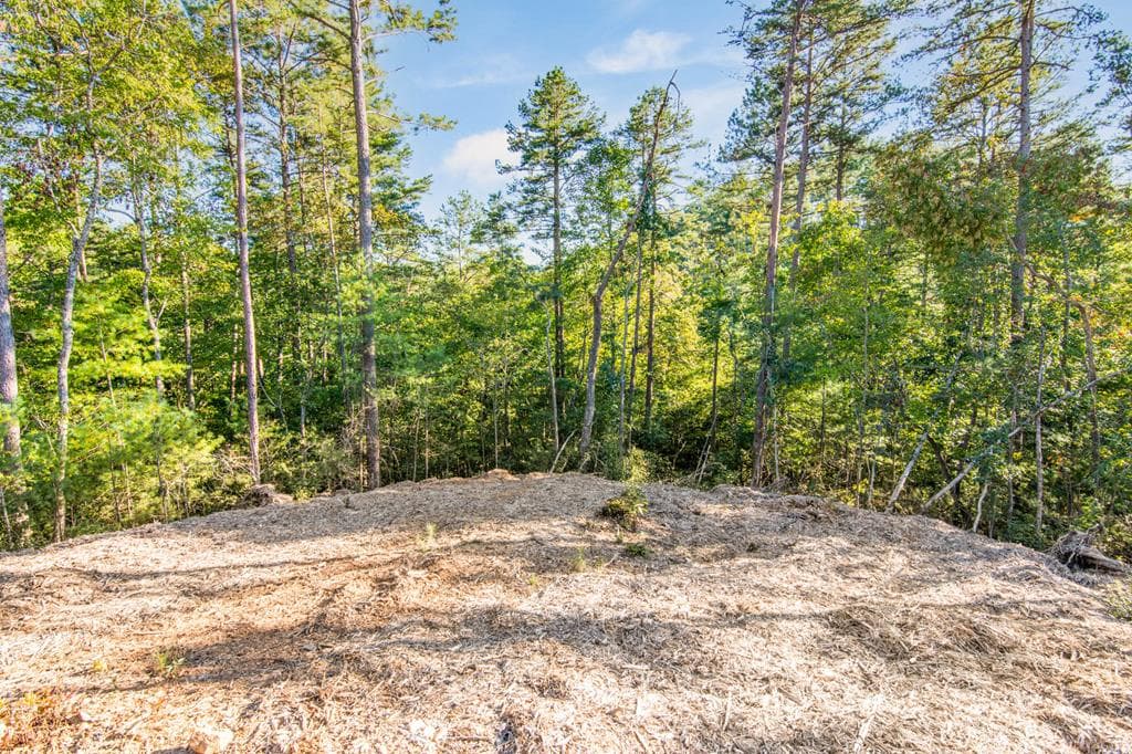LOT 183 Canoe Point, Ellijay GA 30540 - Photo