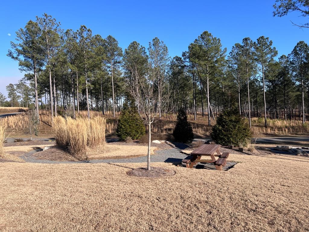 LOT 183 Canoe Point, Ellijay GA 30540 - Photo