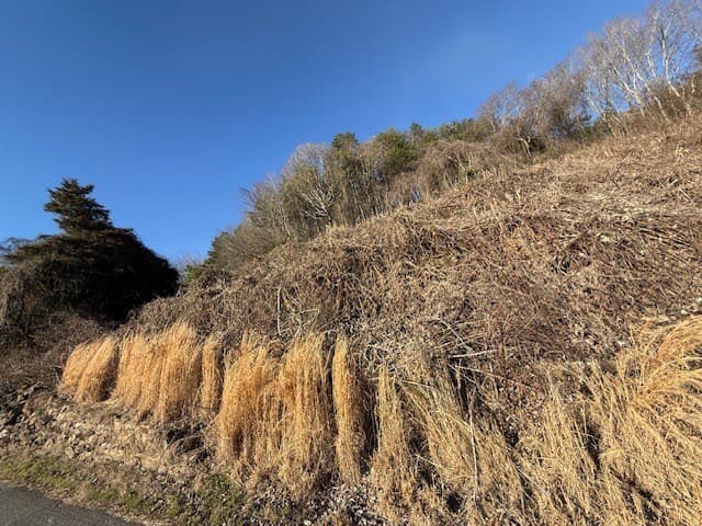 LOT Main Street, Copperhill TN 37317 - Photo