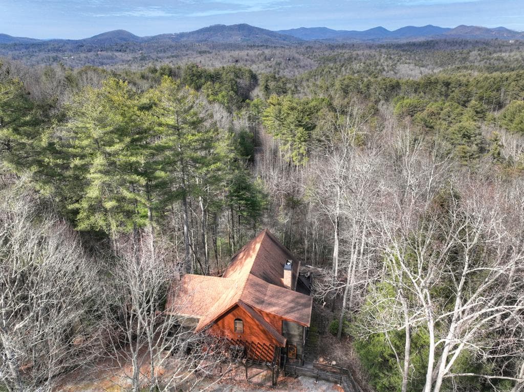 71 Rising Fawn Drive, Mineral Bluff GA 30559 - Photo