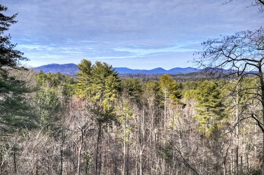 71 Rising Fawn Drive, Mineral Bluff GA 30559 - Photo