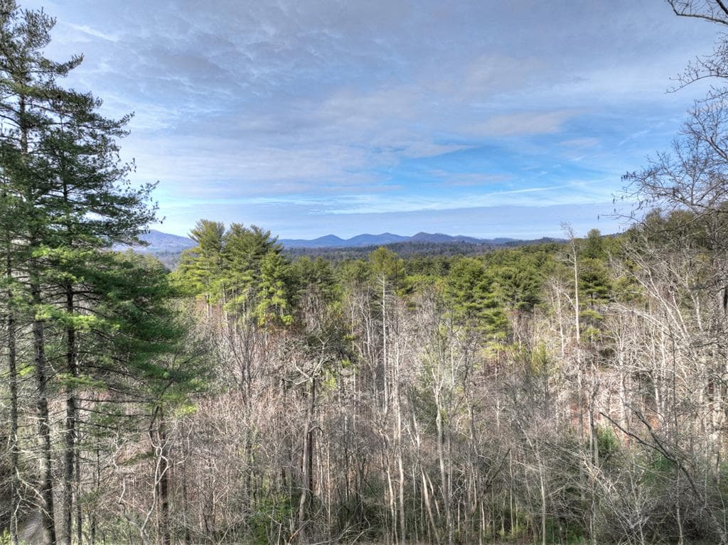 71 Rising Fawn Drive, Mineral Bluff GA 30559 - Photo