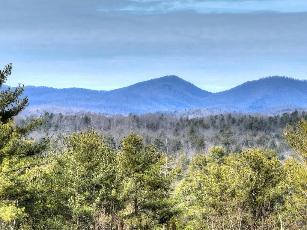 71 Rising Fawn Drive, Mineral Bluff GA 30559 - Photo