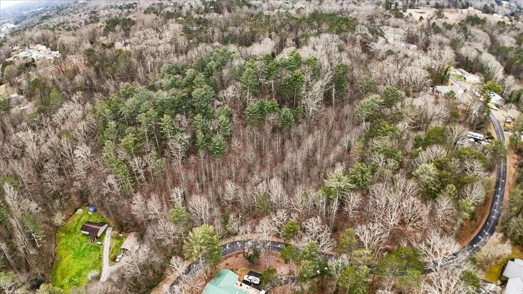 0 Hancock Drive, Ellijay GA 30540 - Photo