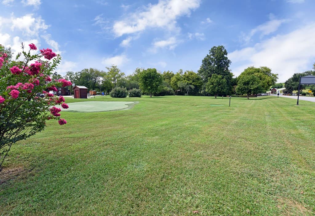 52 Foggy Mountain Road, Blairsville GA 30512 - Photo