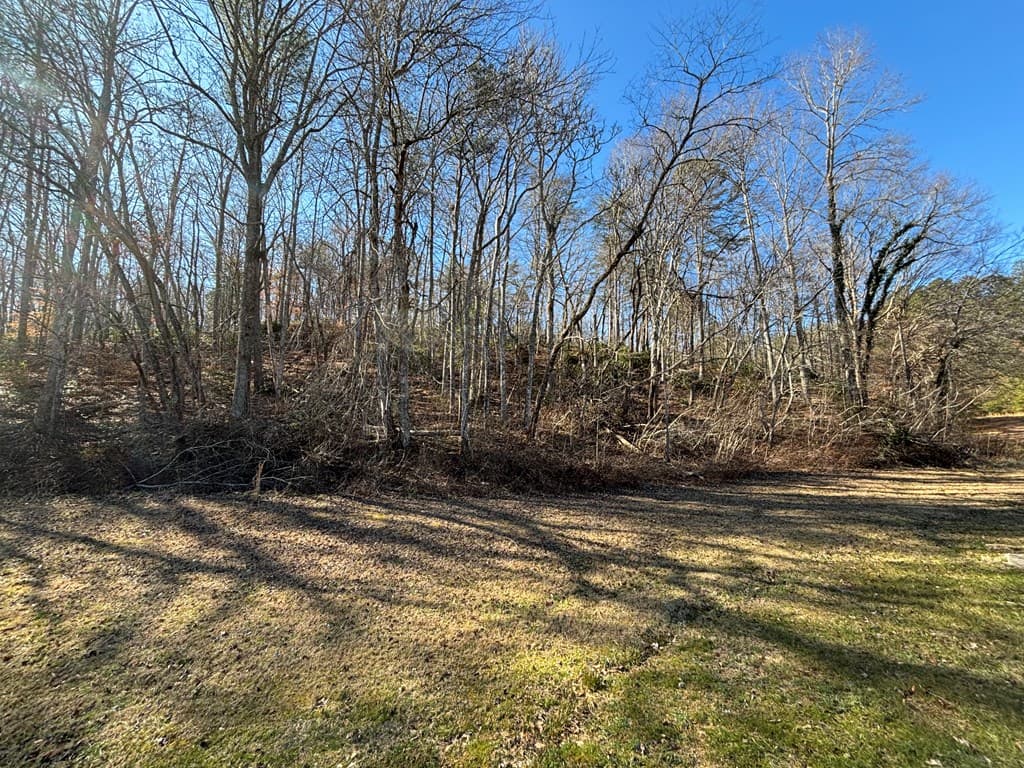 Lot 18 Brasstown Trails, Warne NC 28909 - Photo
