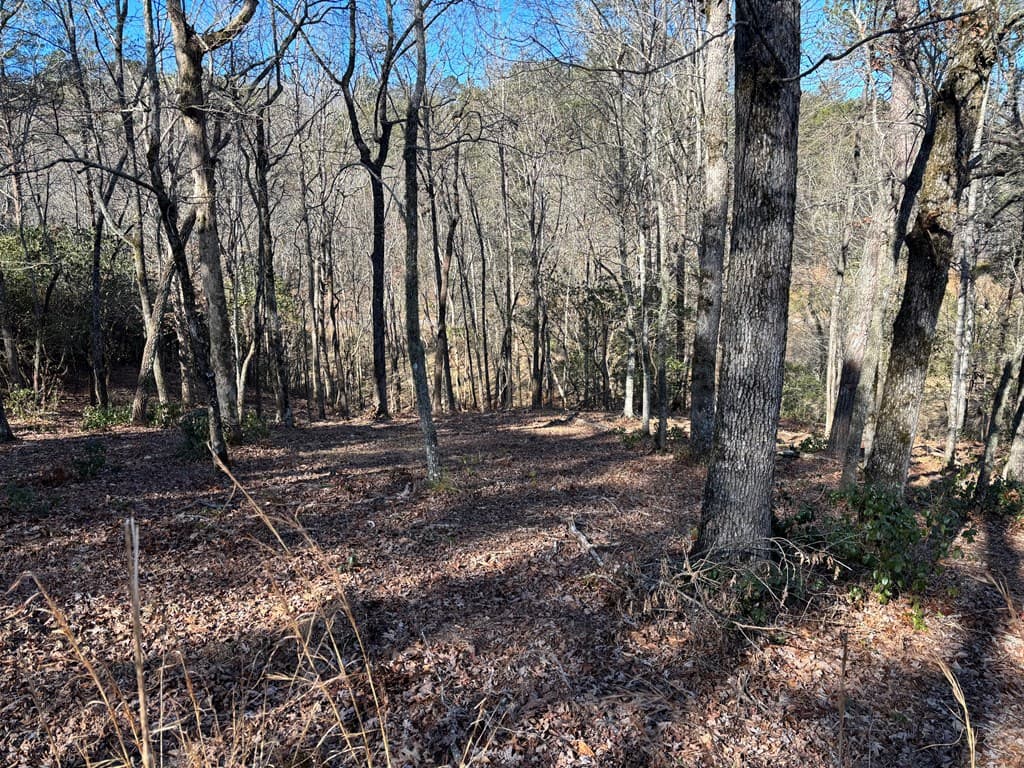 Lot 18 Brasstown Trails, Warne NC 28909 - Photo