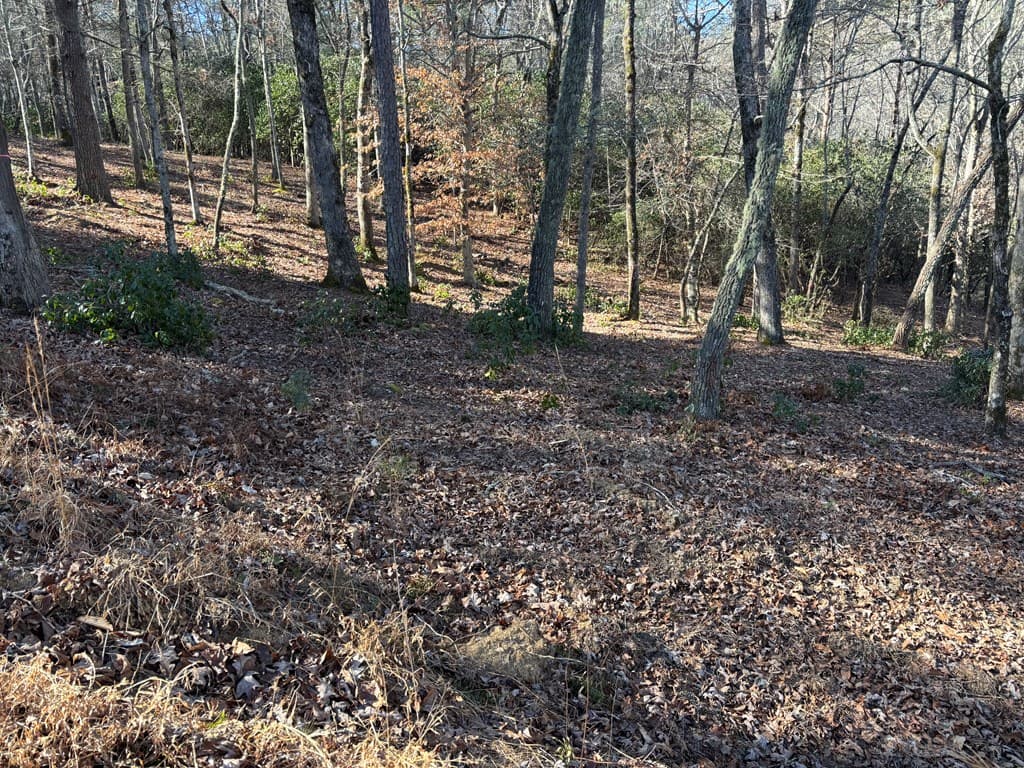 Lot 18 Brasstown Trails, Warne NC 28909 - Photo