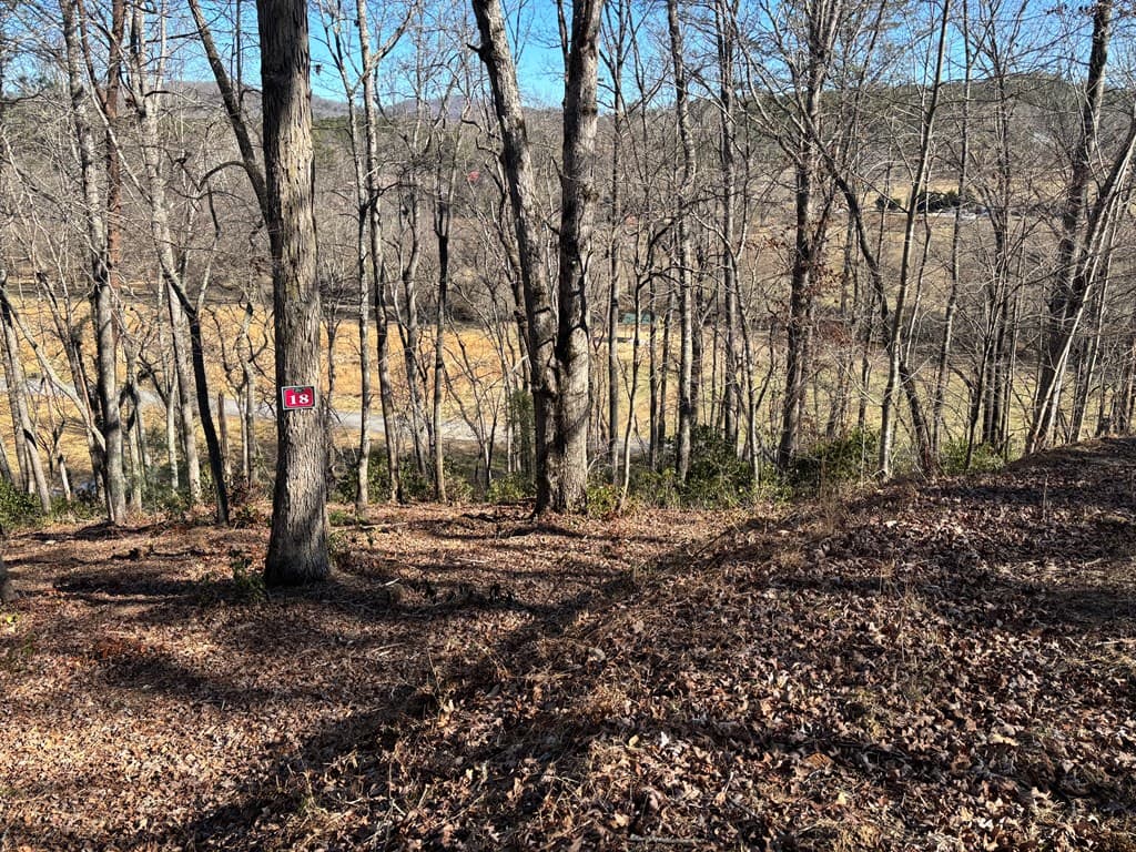 Lot 18 Brasstown Trails, Warne NC 28909 - Photo