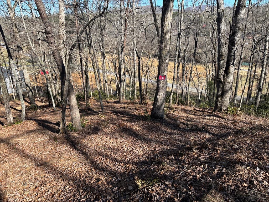Lot 18 Brasstown Trails, Warne NC 28909 - Photo