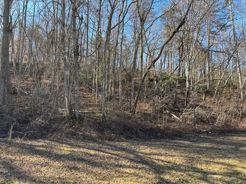 Lot 18 Brasstown Trails, Warne NC 28909 - Photo
