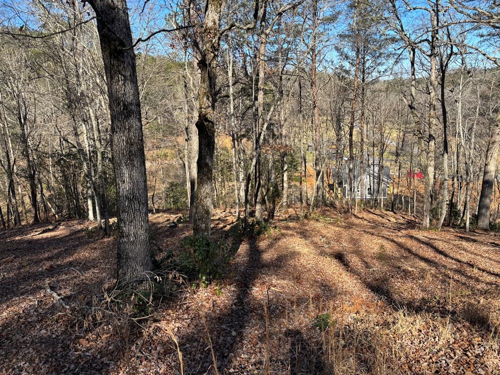 Lot 18 Brasstown Trails, Warne NC 28909 - Photo
