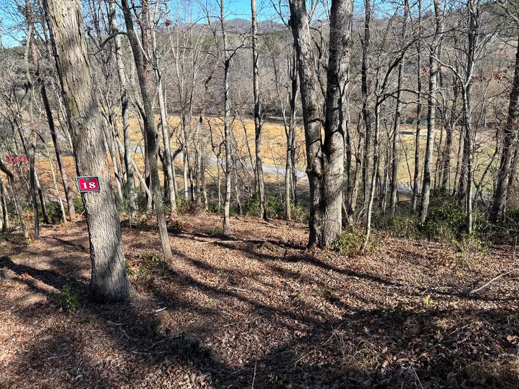 Lot 18 Brasstown Trails, Warne NC 28909 - Primary photo