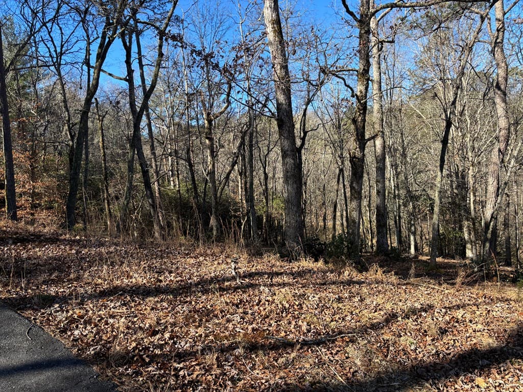 Lot 18 Brasstown Trails, Warne NC 28909 - Photo