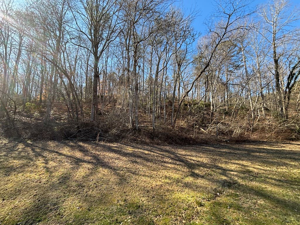 Lot 18 Brasstown Trails, Warne NC 28909 - Photo