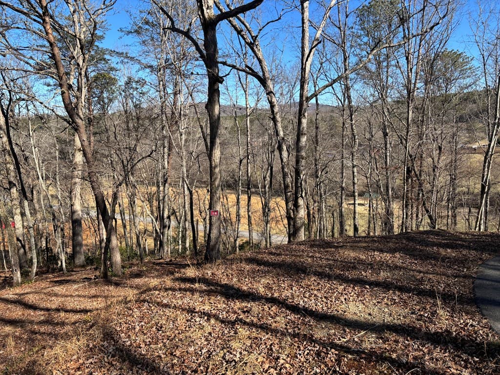 Lot 18 Brasstown Trails, Warne NC 28909 - Photo