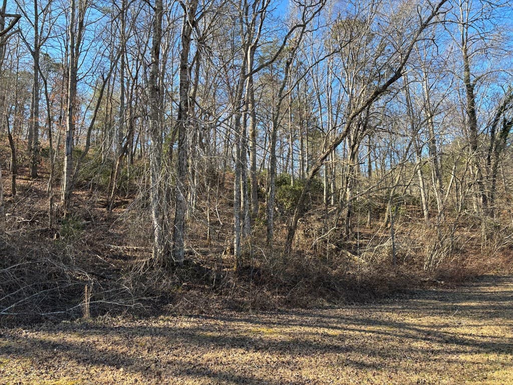 Lot 18 Brasstown Trails, Warne NC 28909 - Photo