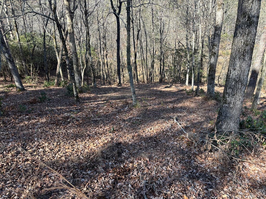 Lot 18 Brasstown Trails, Warne NC 28909 - Photo