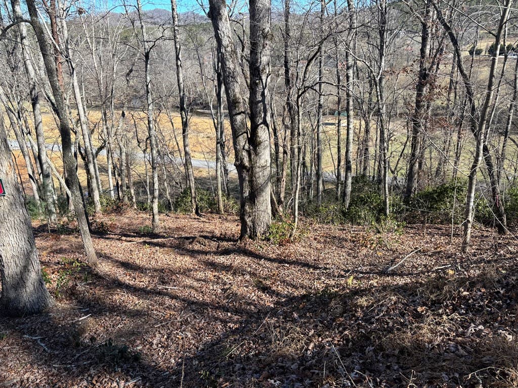 Lot 18 Brasstown Trails, Warne NC 28909 - Photo