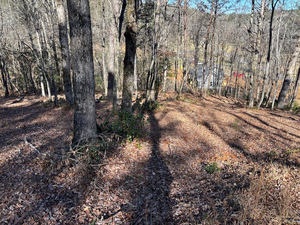 Lot 18 Brasstown Trails, Warne NC 28909 - Photo
