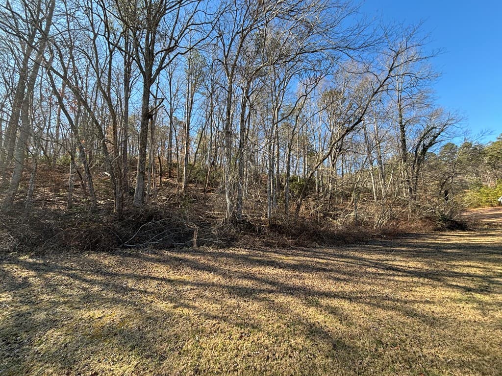 Lot 18 Brasstown Trails, Warne NC 28909 - Photo