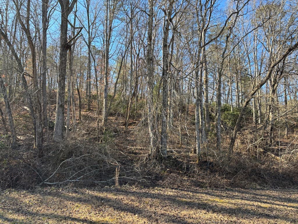 Lot 18 Brasstown Trails, Warne NC 28909 - Photo