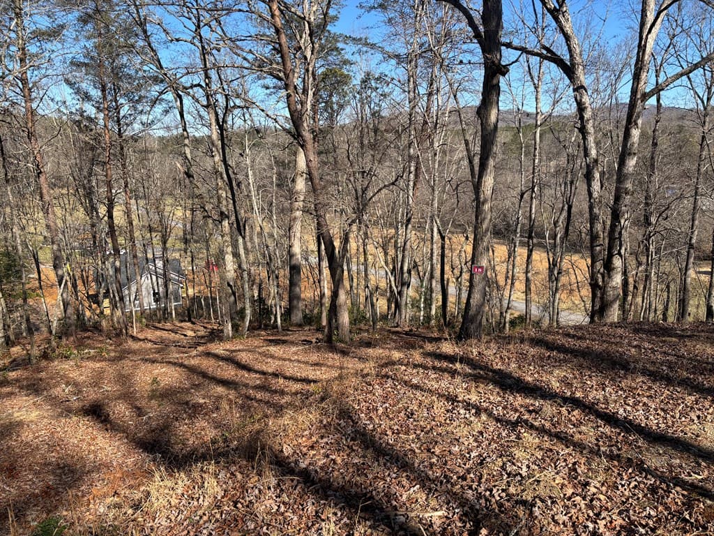 Lot 18 Brasstown Trails, Warne NC 28909 - Photo