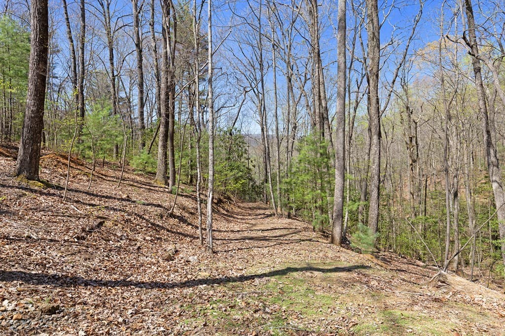 0 Big Creek Road, Ellijay GA 30536 - Photo