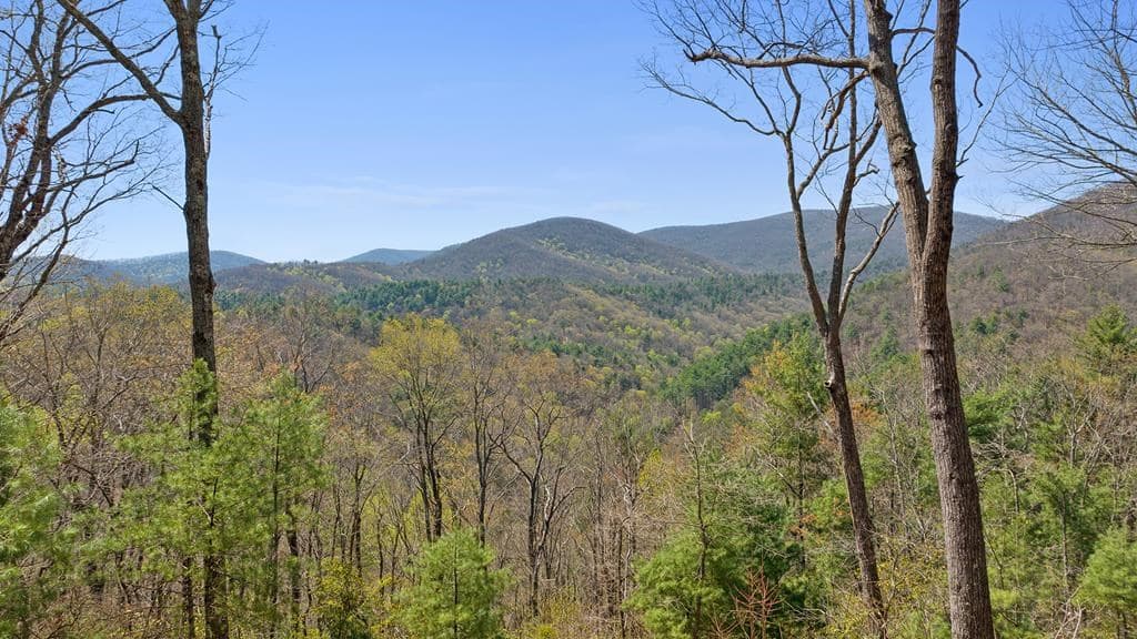 0 Big Creek Road, Ellijay GA 30536 - Photo