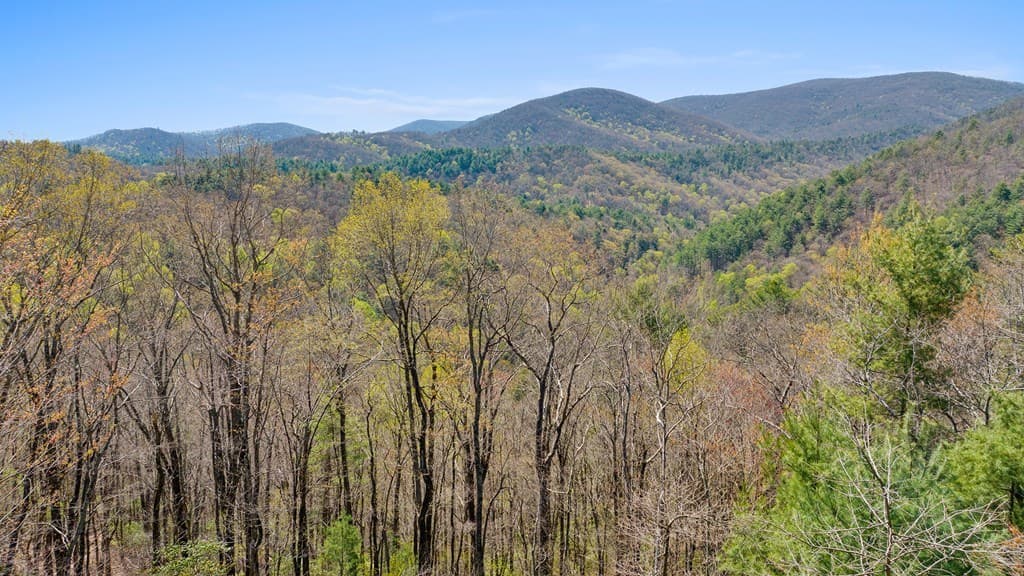 0 Big Creek Road, Ellijay GA 30536 - Photo