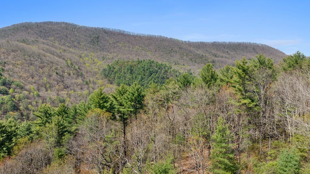 0 Big Creek Road, Ellijay GA 30536 - Photo