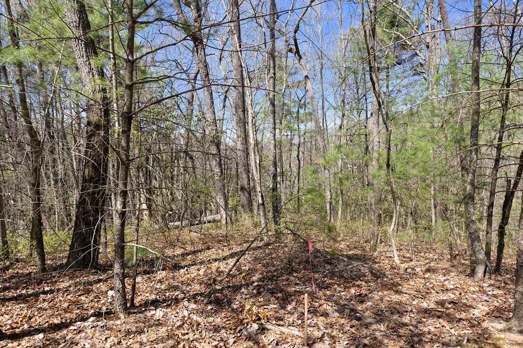 0 Big Creek Road, Ellijay GA 30536 - Photo