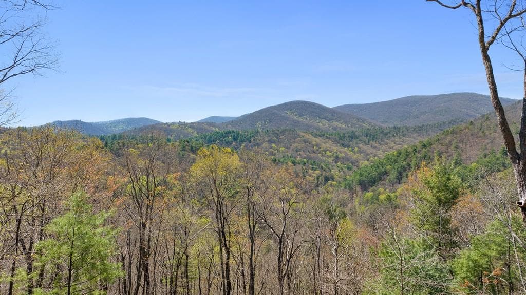0 Big Creek Road, Ellijay GA 30536 - Primary photo