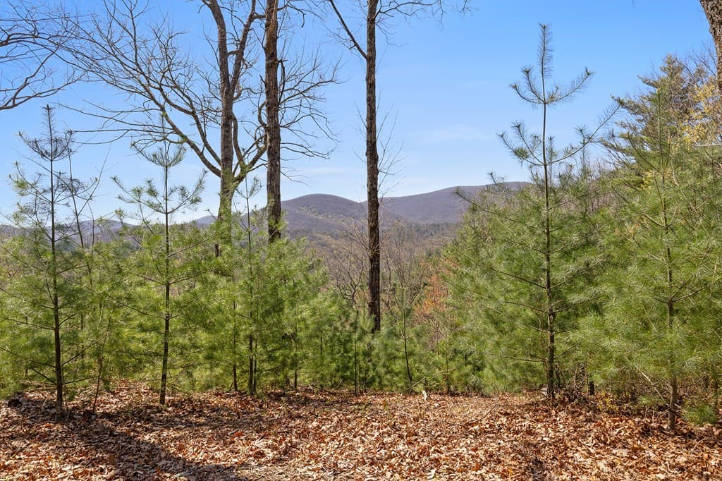 0 Big Creek Road, Ellijay GA 30536 - Photo