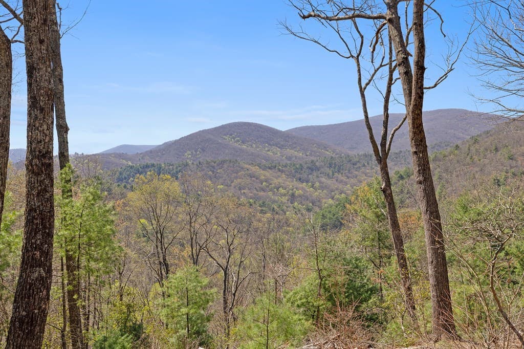 0 Big Creek Road, Ellijay GA 30536 - Photo