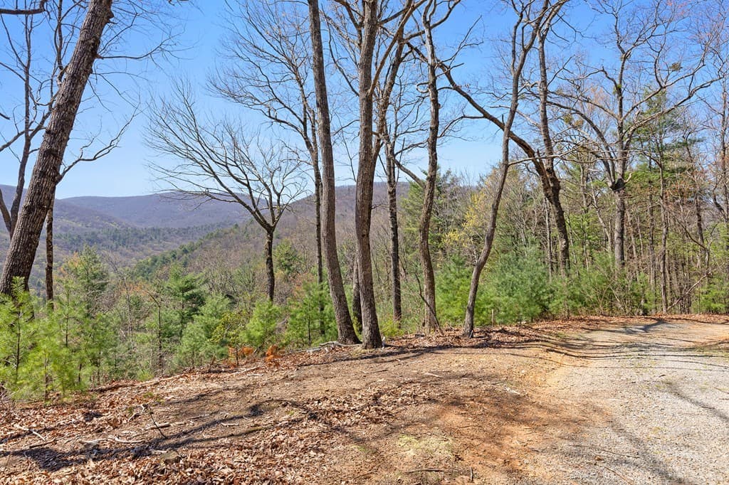 0 Big Creek Road, Ellijay GA 30536 - Photo