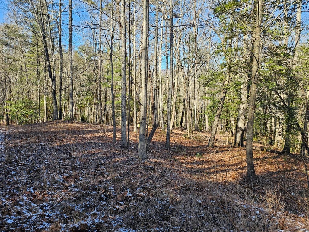0 Beaver Dam Road, Murphy NC 28906 - Photo