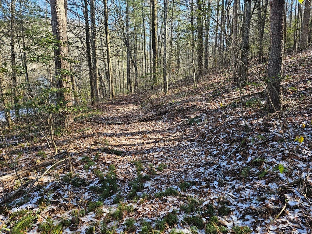 0 Beaver Dam Road, Murphy NC 28906 - Photo