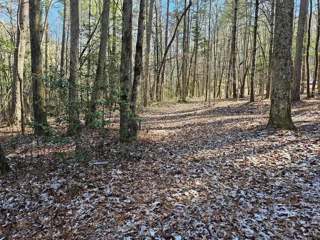 0 Beaver Dam Road, Murphy NC 28906 - Primary photo