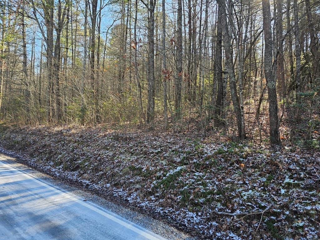 0 Beaver Dam Road, Murphy NC 28906 - Photo