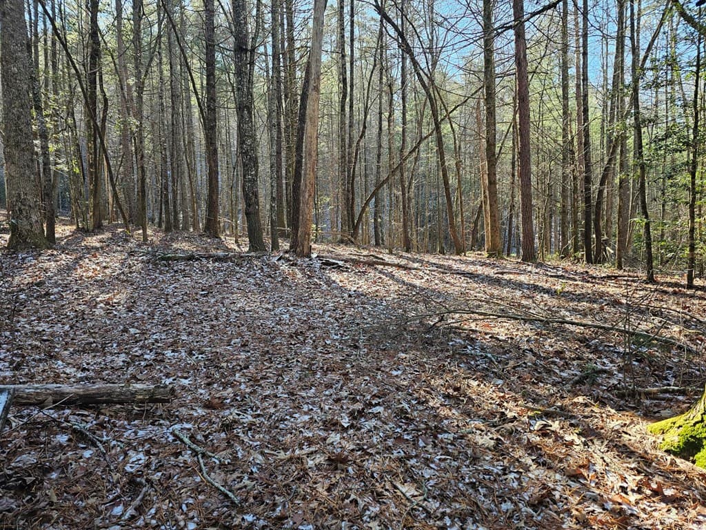 0 Beaver Dam Road, Murphy NC 28906 - Photo