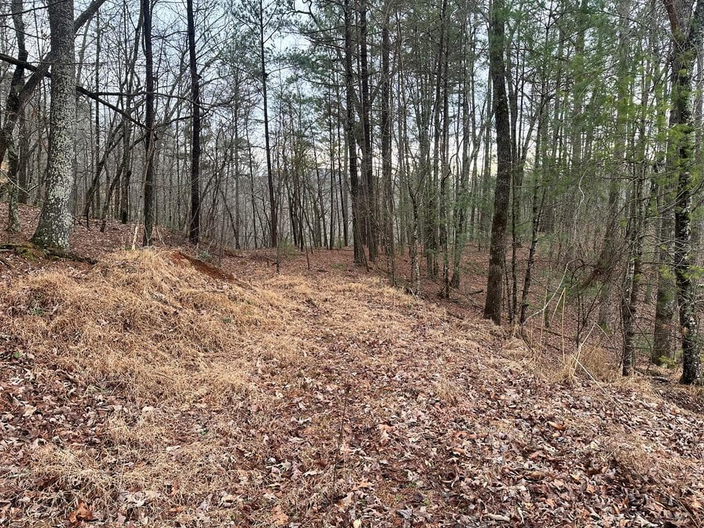 3693 Myna Drive, Ellijay GA 30540 - Photo