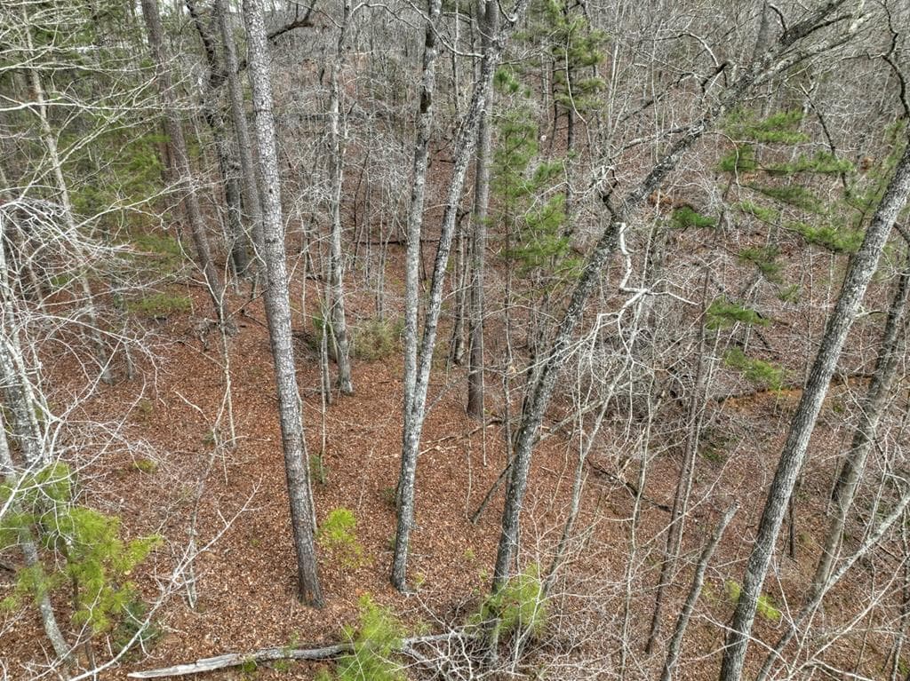 3693 Myna Drive, Ellijay GA 30540 - Photo