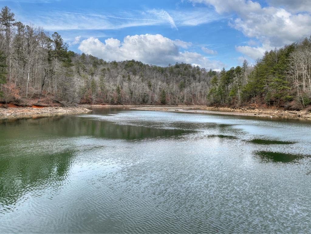3693 Myna Drive, Ellijay GA 30540 - Photo