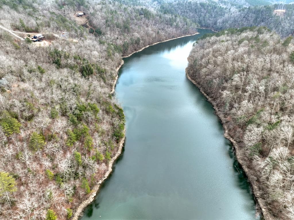 3693 Myna Drive, Ellijay GA 30540 - Photo