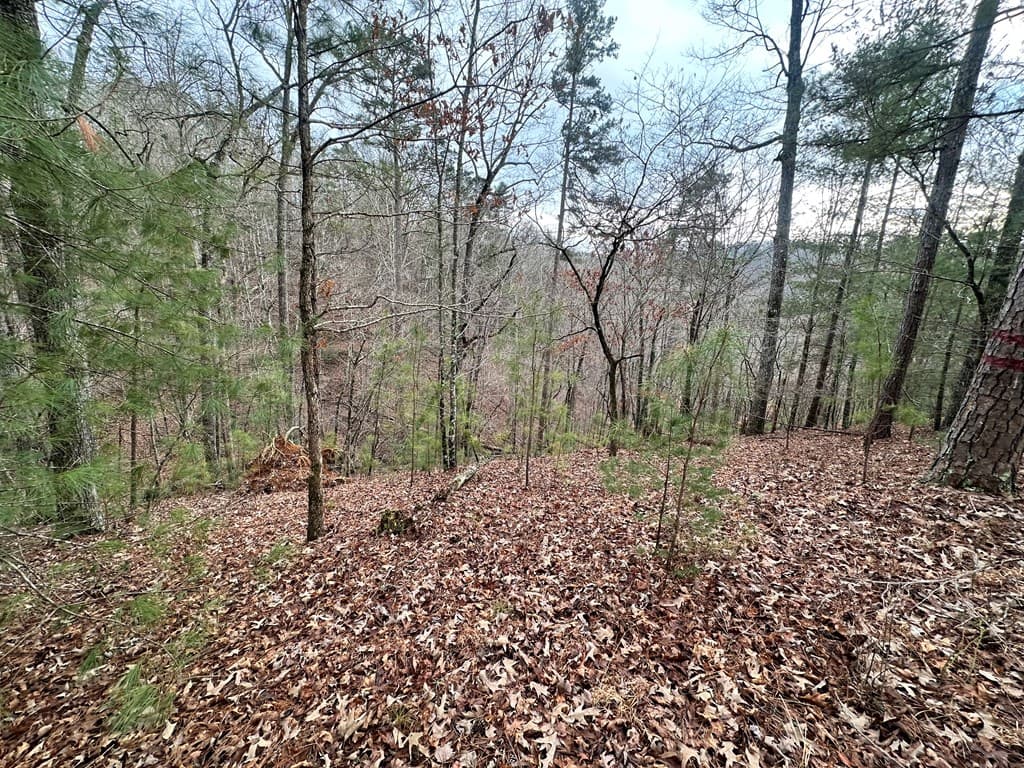 3693 Myna Drive, Ellijay GA 30540 - Photo