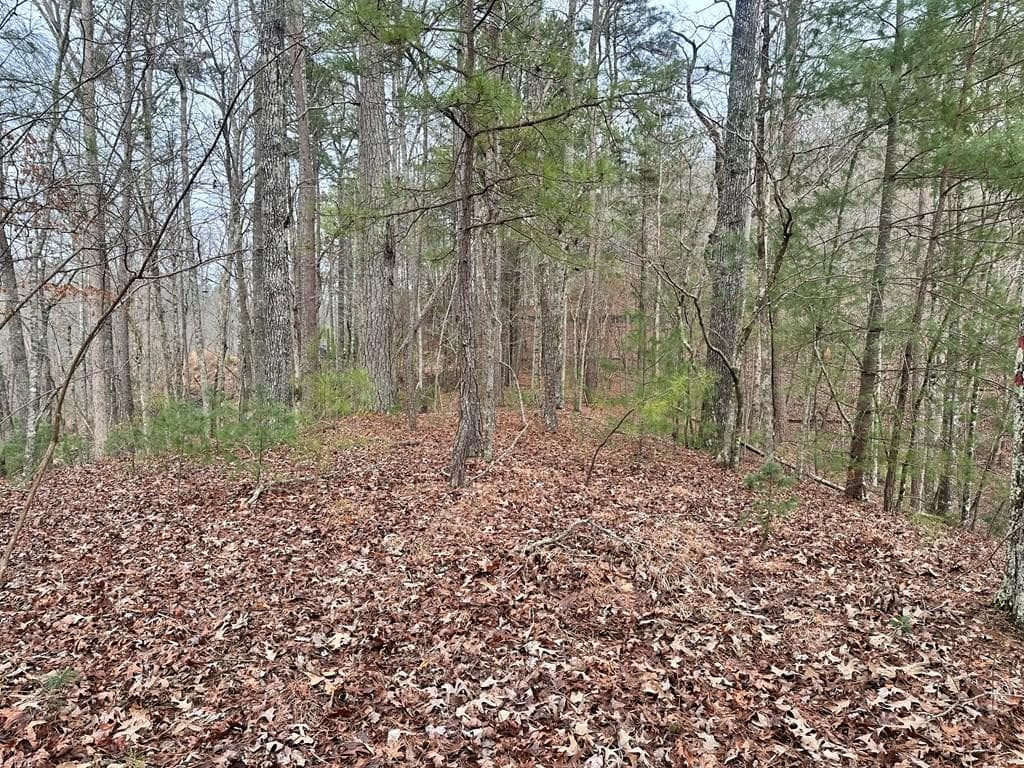 3693 Myna Drive, Ellijay GA 30540 - Primary photo