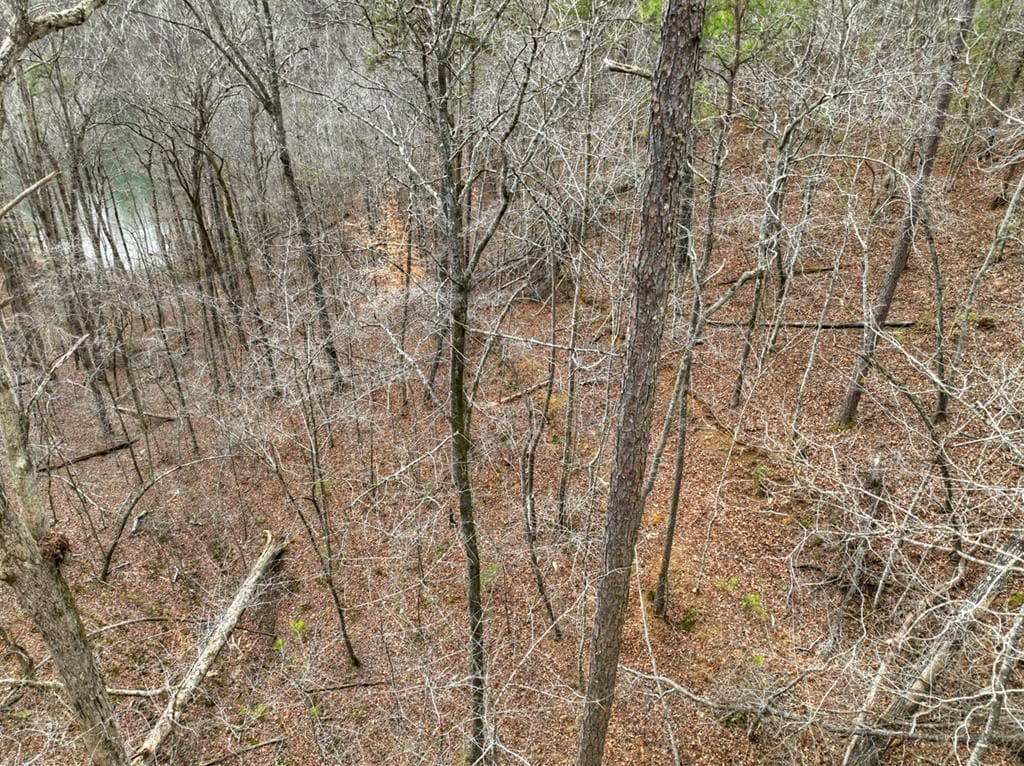3693 Myna Drive, Ellijay GA 30540 - Photo