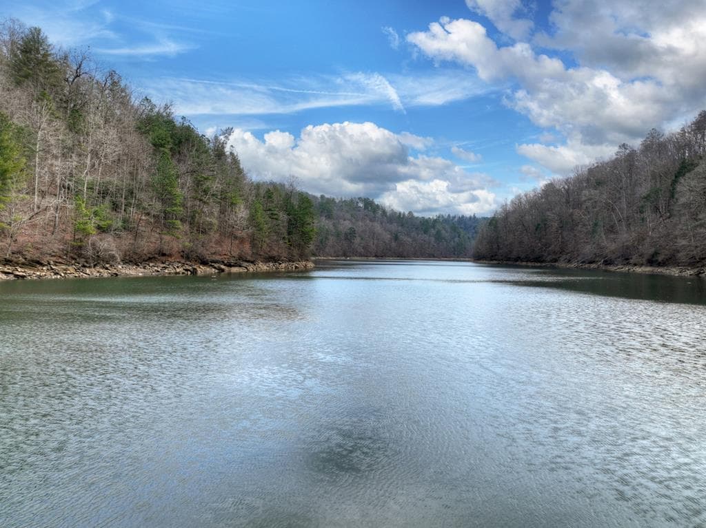 3693 Myna Drive, Ellijay GA 30540 - Photo